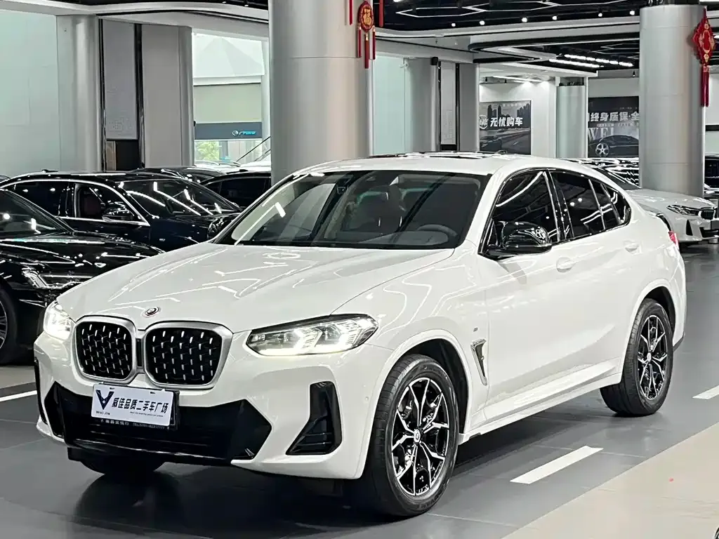 BMW X4 — фото 1