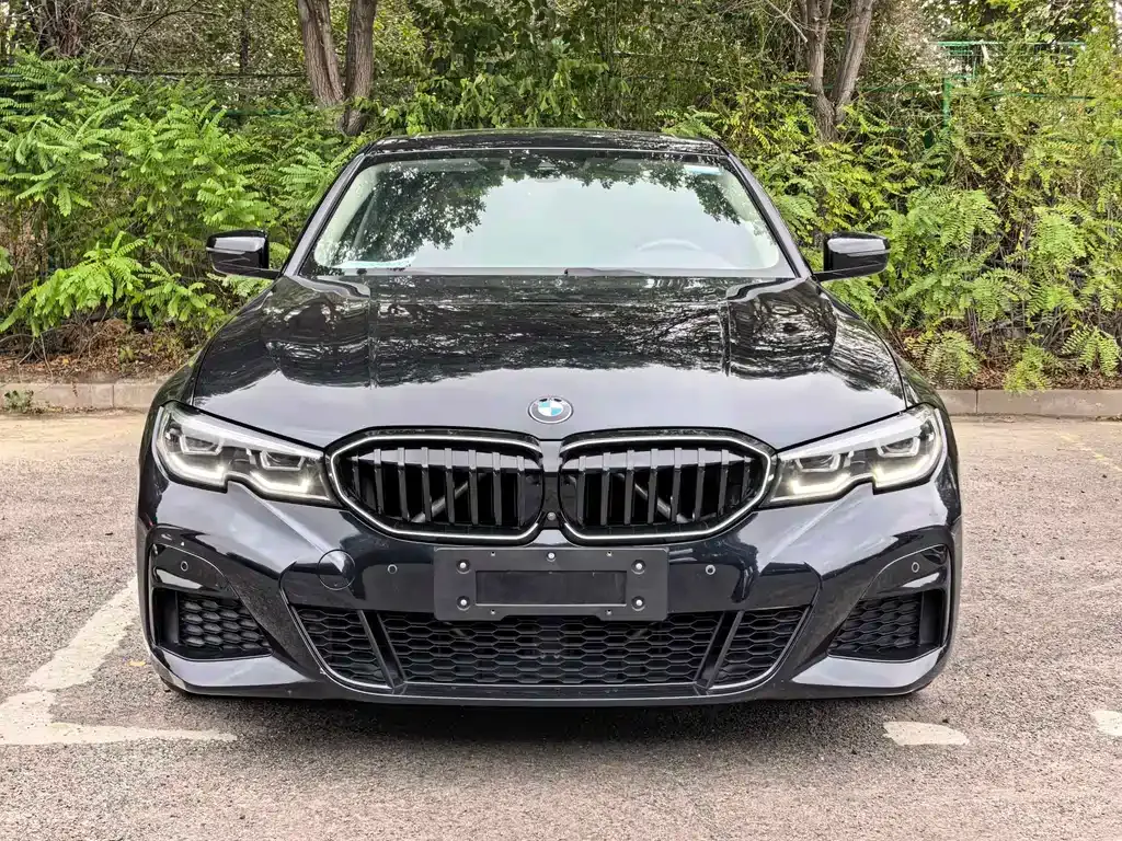 BMW 3 Series — фото 6