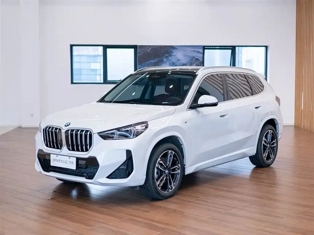 BMW X1 — фото 10