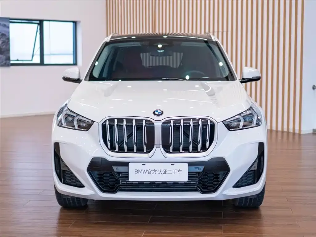 BMW X1 — фото 8