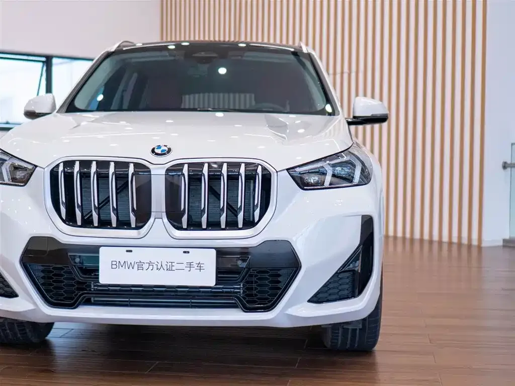 BMW X1 — фото 9