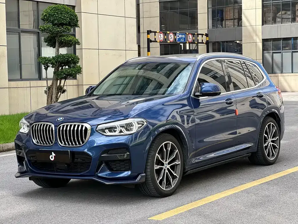 BMW X3 — фото 1