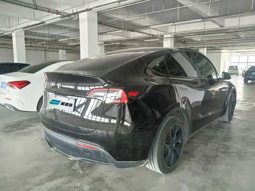 Tesla Model Y — фото 10