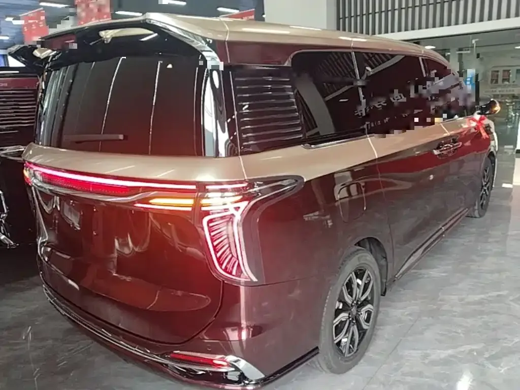 Hongqi HQ9 — фото 3
