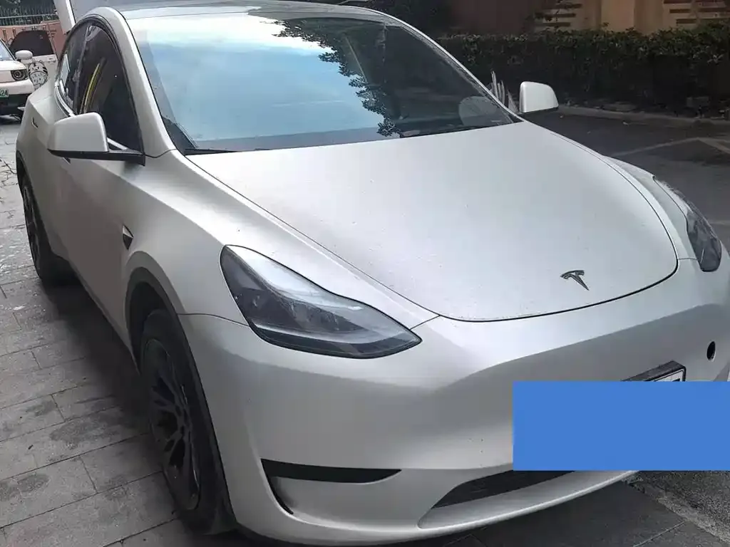 Tesla Model Y — фото 2
