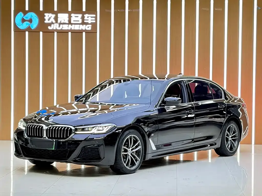 BMW 5 Series New Energy — фото 1