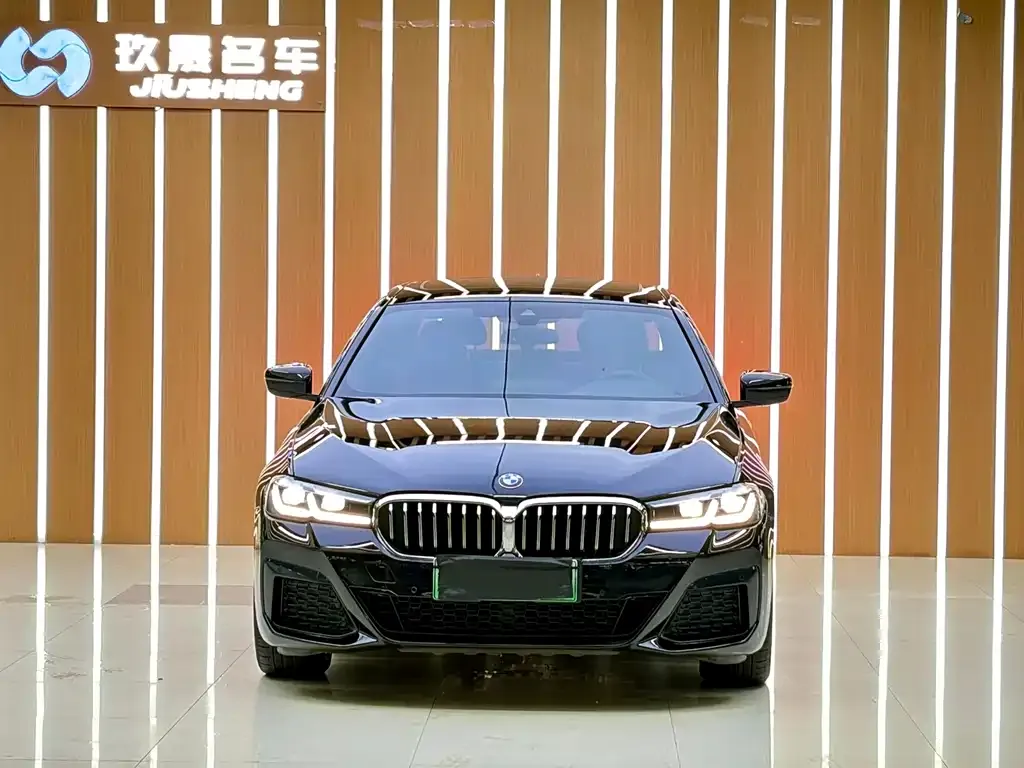 BMW 5 Series New Energy — фото 4