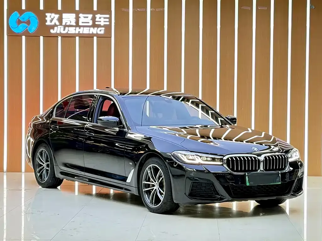 BMW 5 Series New Energy — фото 7