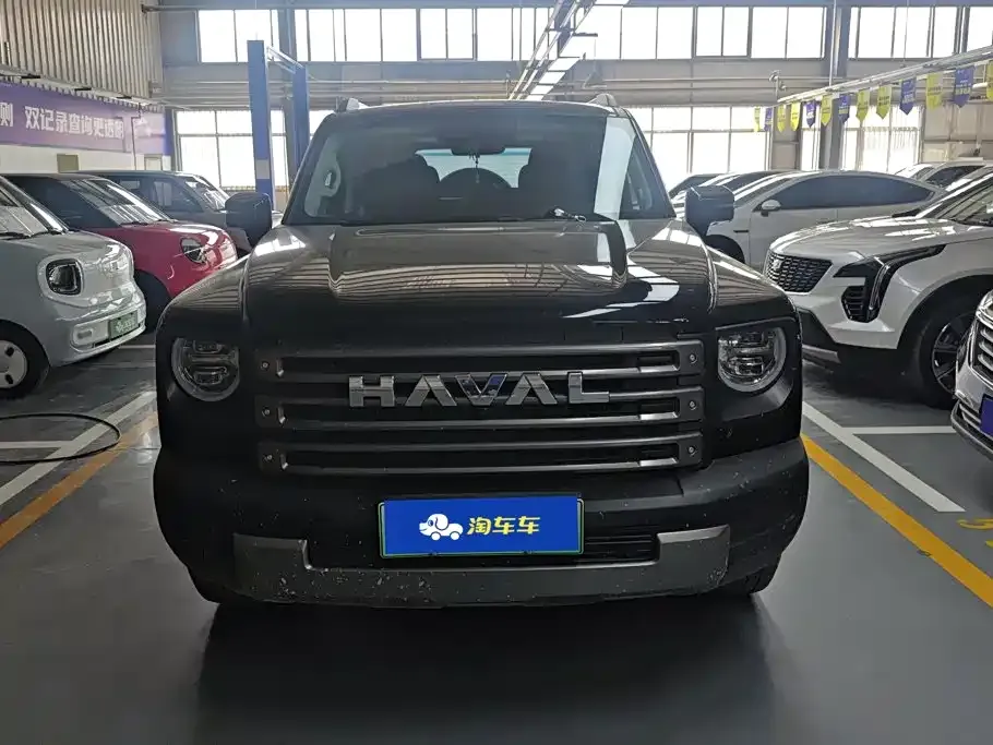 Haval Menglong New Energy — фото 4