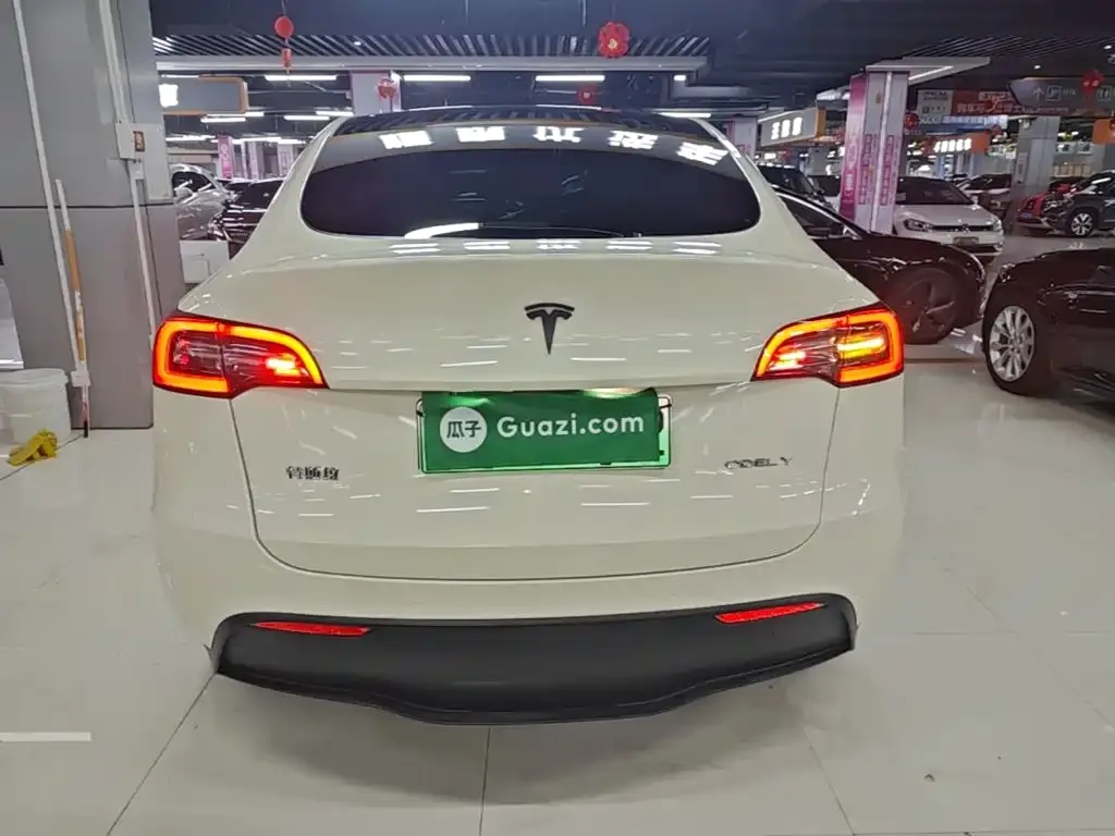 Tesla Model Y — фото 10