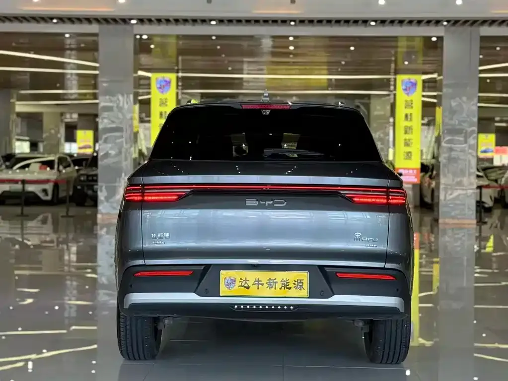 BYD Pro New Energy — фото 5