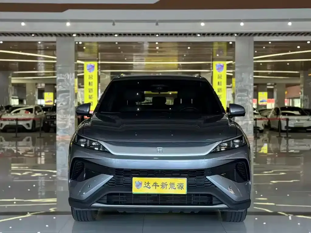 BYD Pro New Energy — фото 9