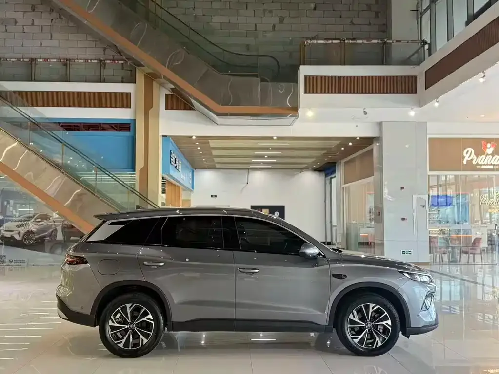 BYD Pro New Energy — фото 3