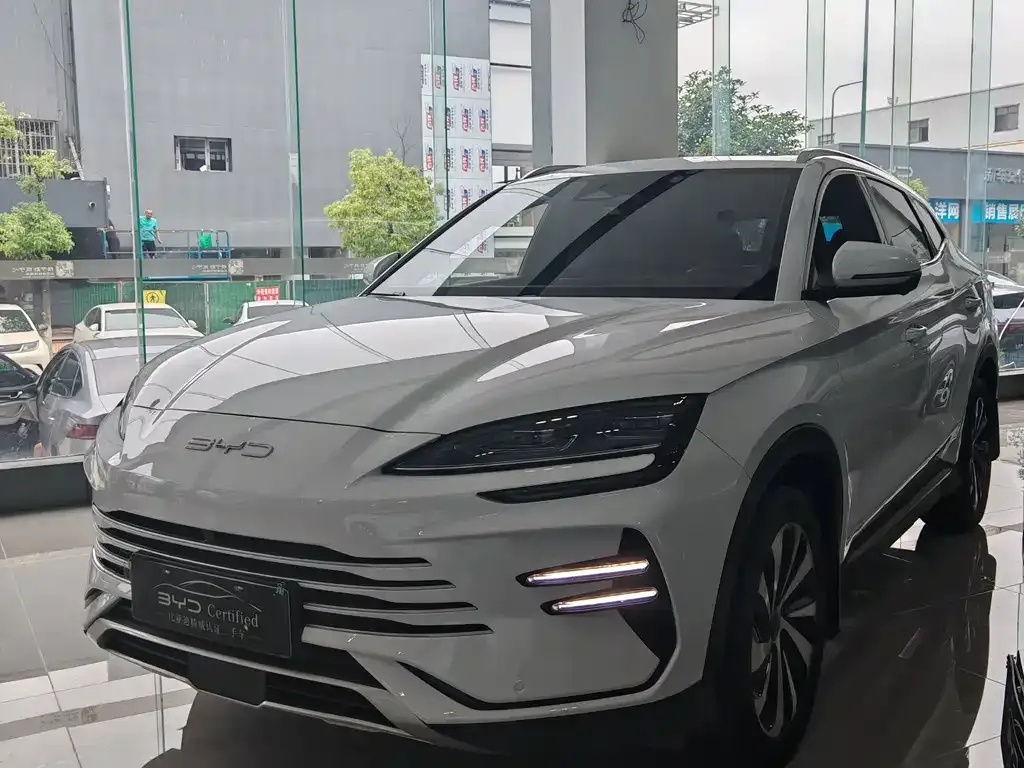 BYD PLUS New Energy — фото 1