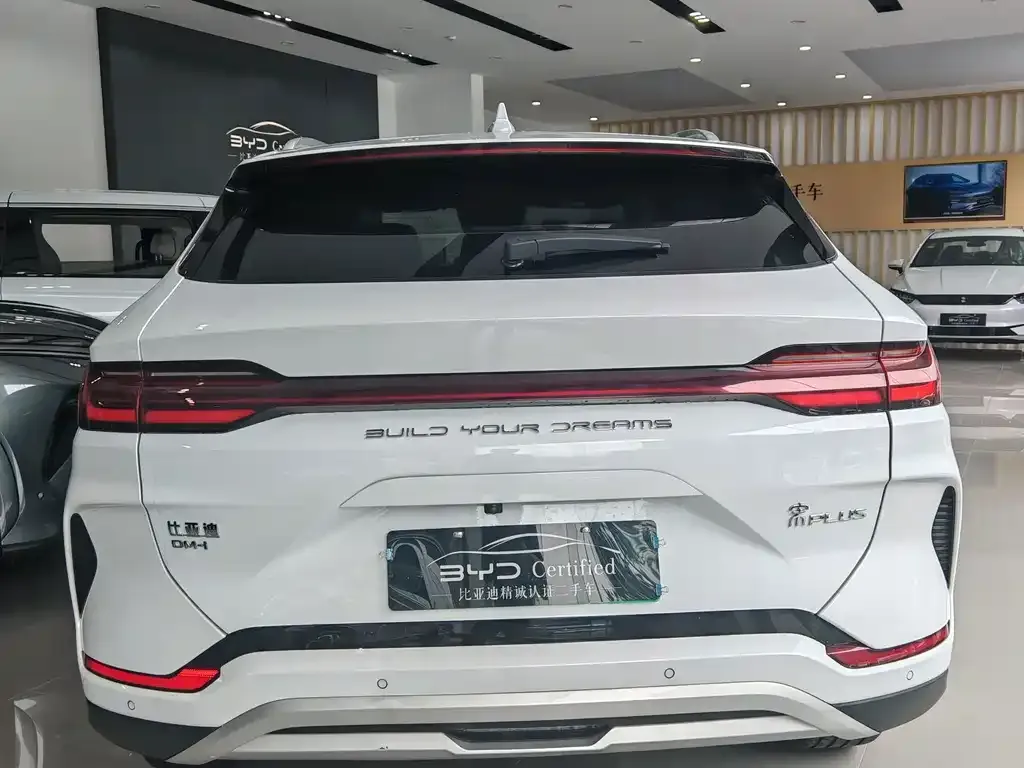 BYD PLUS New Energy — фото 8