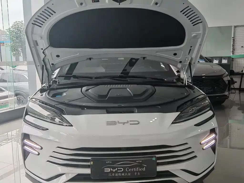 BYD PLUS New Energy — фото 6