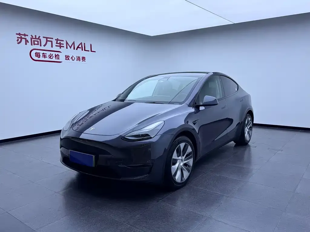 Tesla Model Y — фото 1