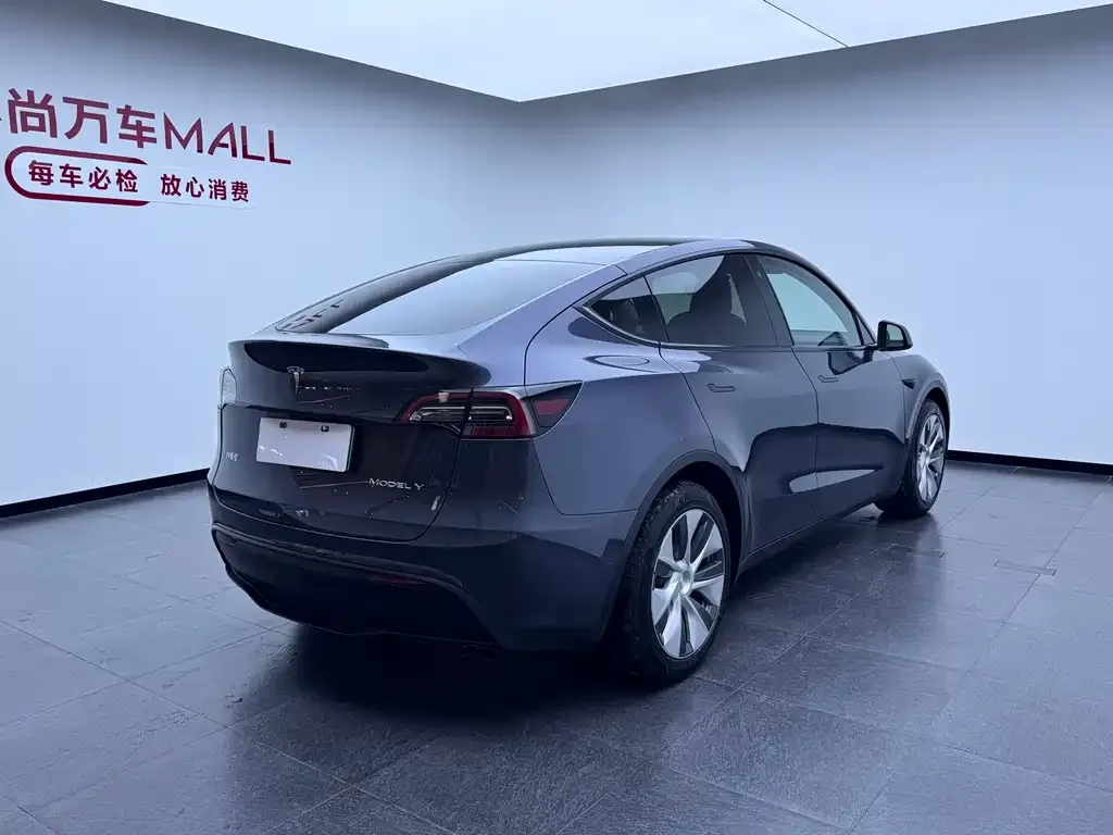 Tesla Model Y — фото 6