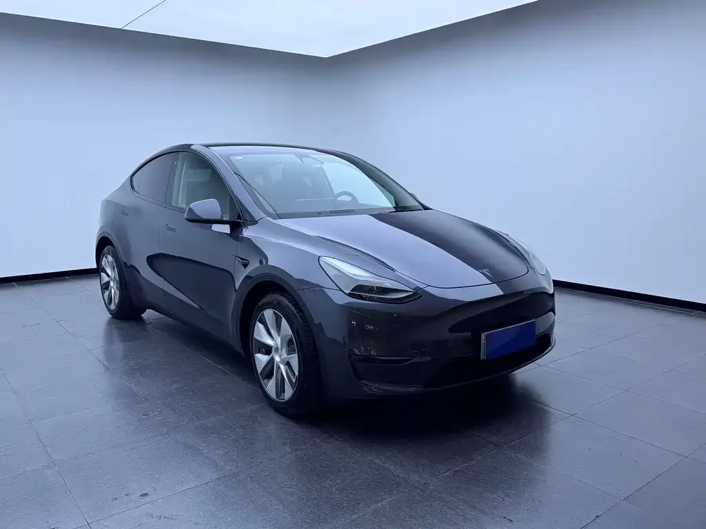 Tesla Model Y — фото 2