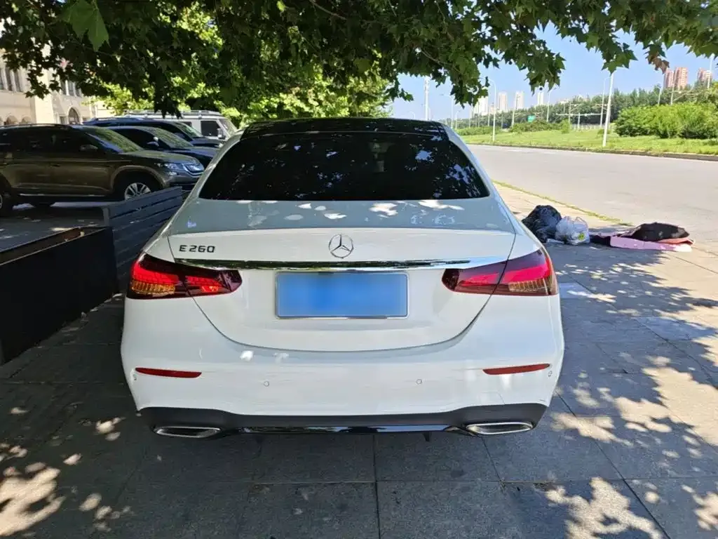 Mercedes-Benz E-Class (Import) — фото 10