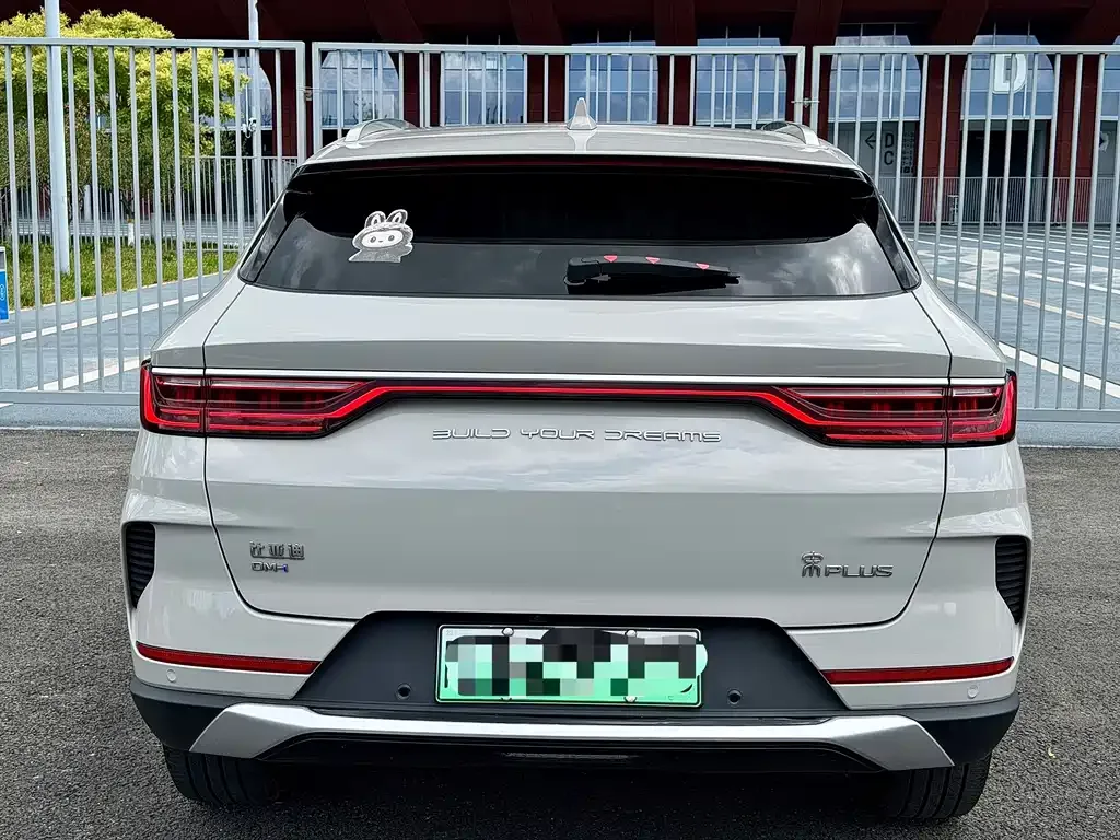 BYD PLUS New Energy — фото 4