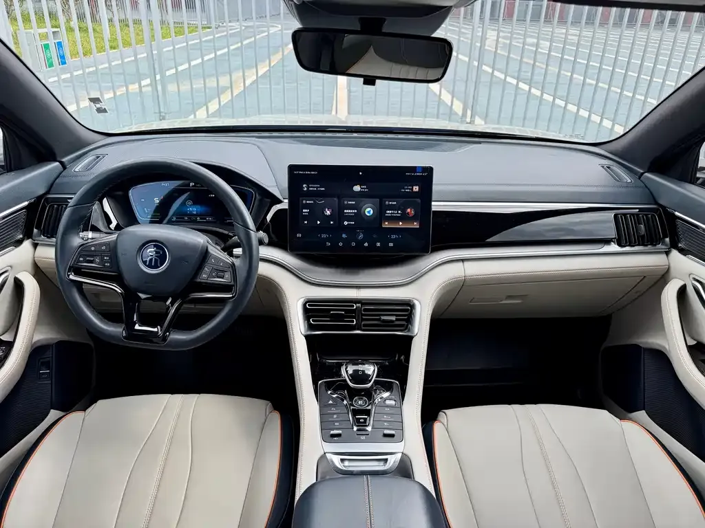 BYD PLUS New Energy — фото 8