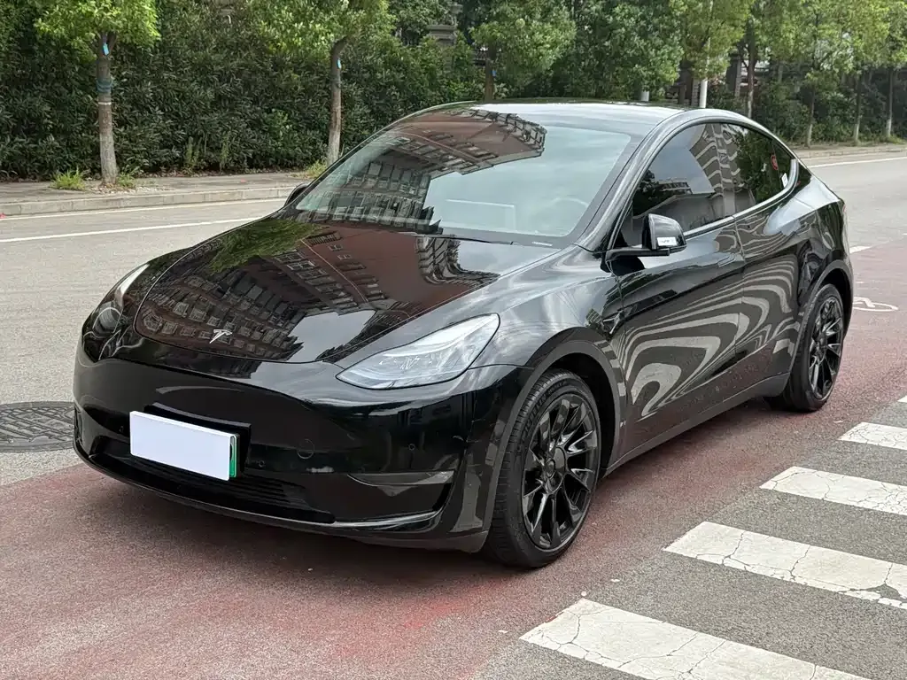 Tesla Model Y — фото 1