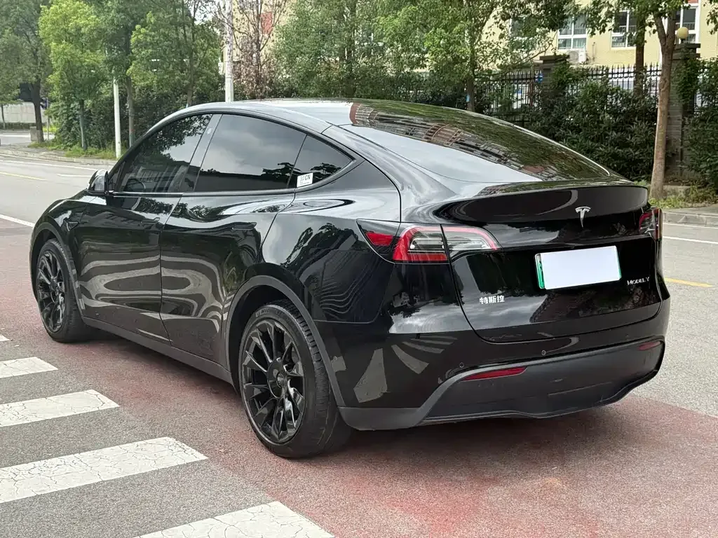 Tesla Model Y — фото 8