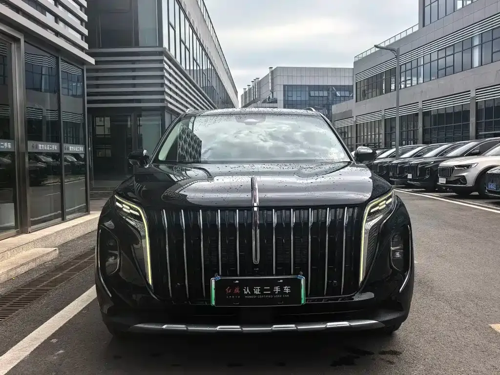 Hongqi HS7 PHEV — фото 7