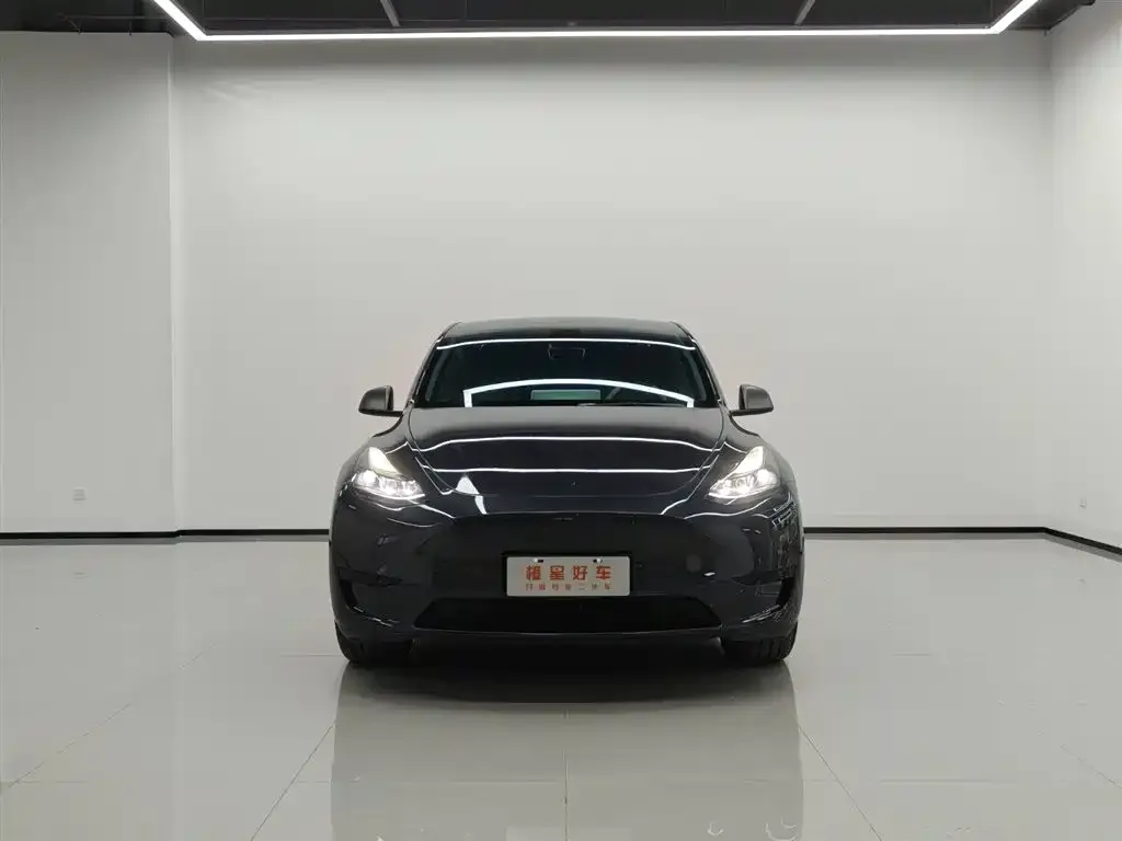 Tesla Model Y — фото 2