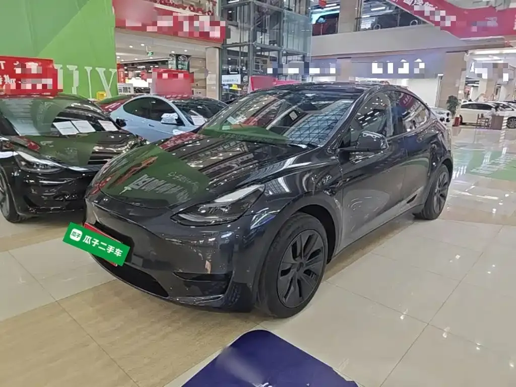 Tesla Model Y — фото 9