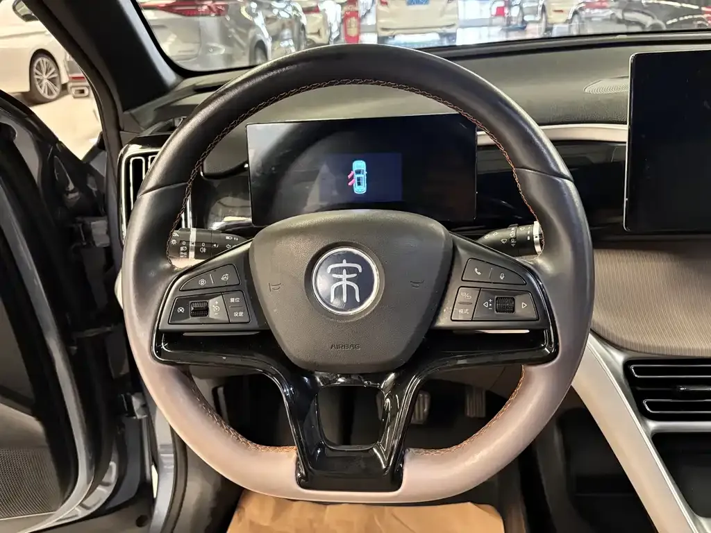 BYD Pro New Energy — фото 9