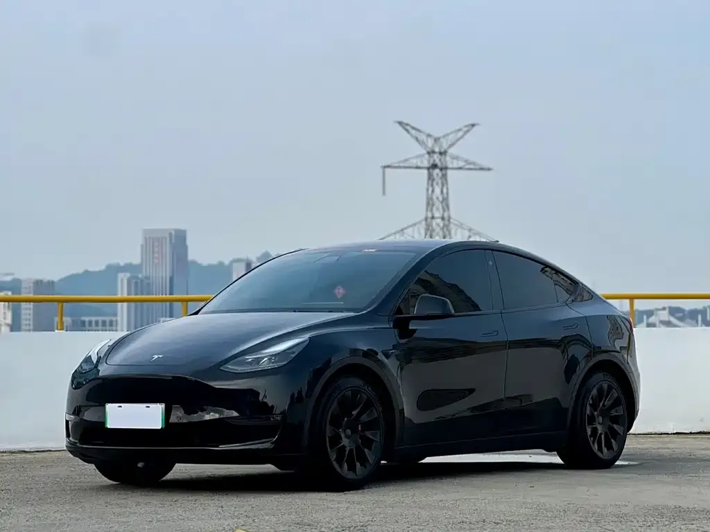 Tesla Model Y — фото 1