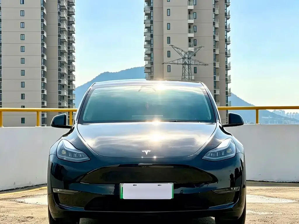 Tesla Model Y — фото 7