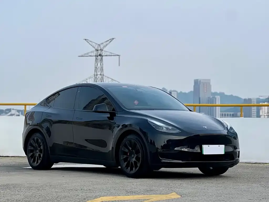 Tesla Model Y — фото 5