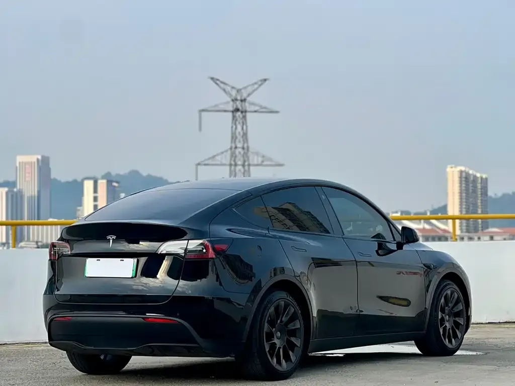 Tesla Model Y — фото 2