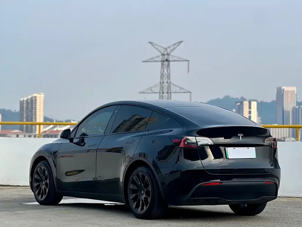Tesla Model Y — фото 10