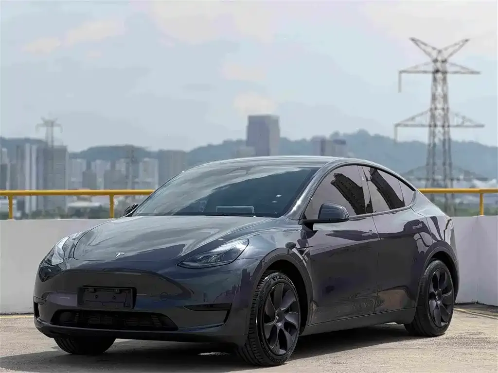 Tesla Model Y — фото 1