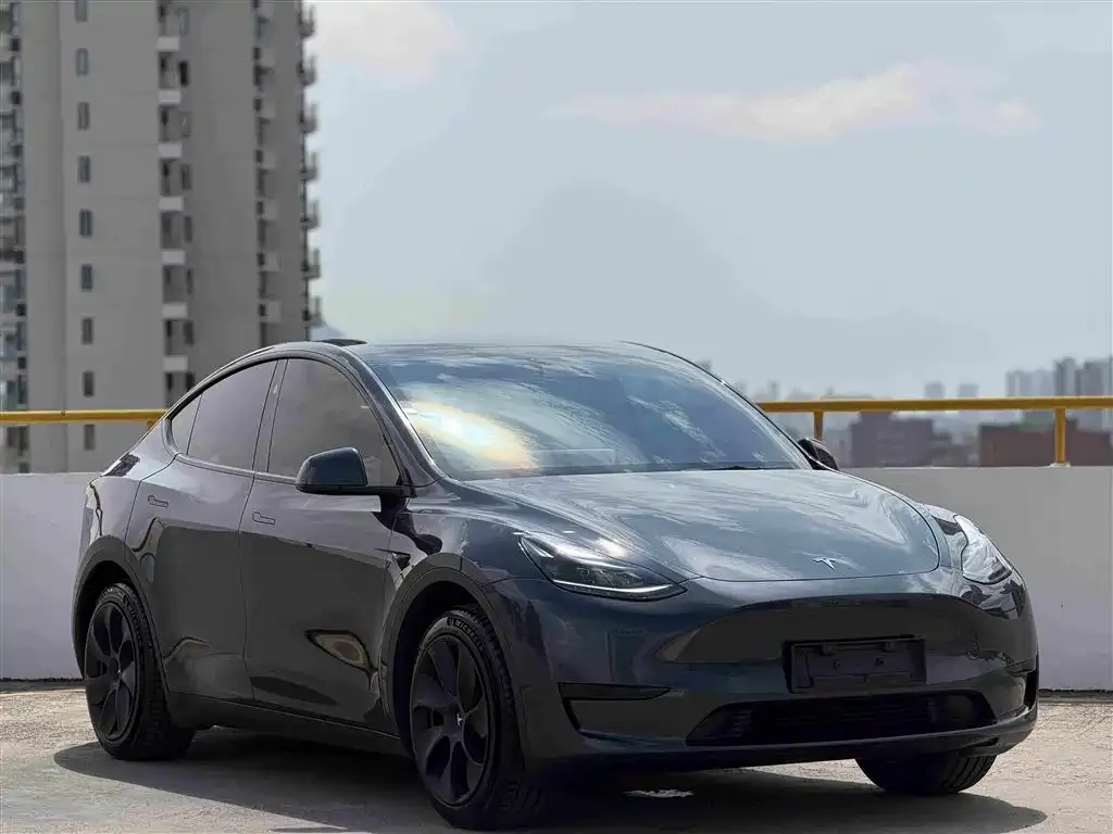 Tesla Model Y — фото 3