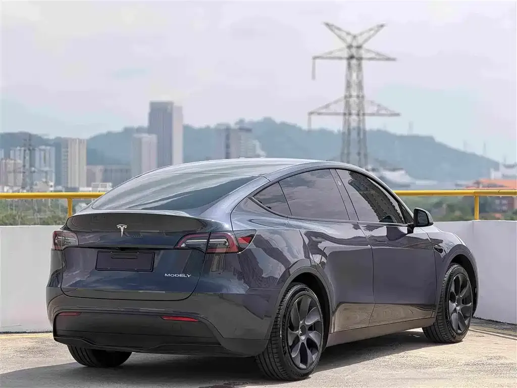Tesla Model Y — фото 5