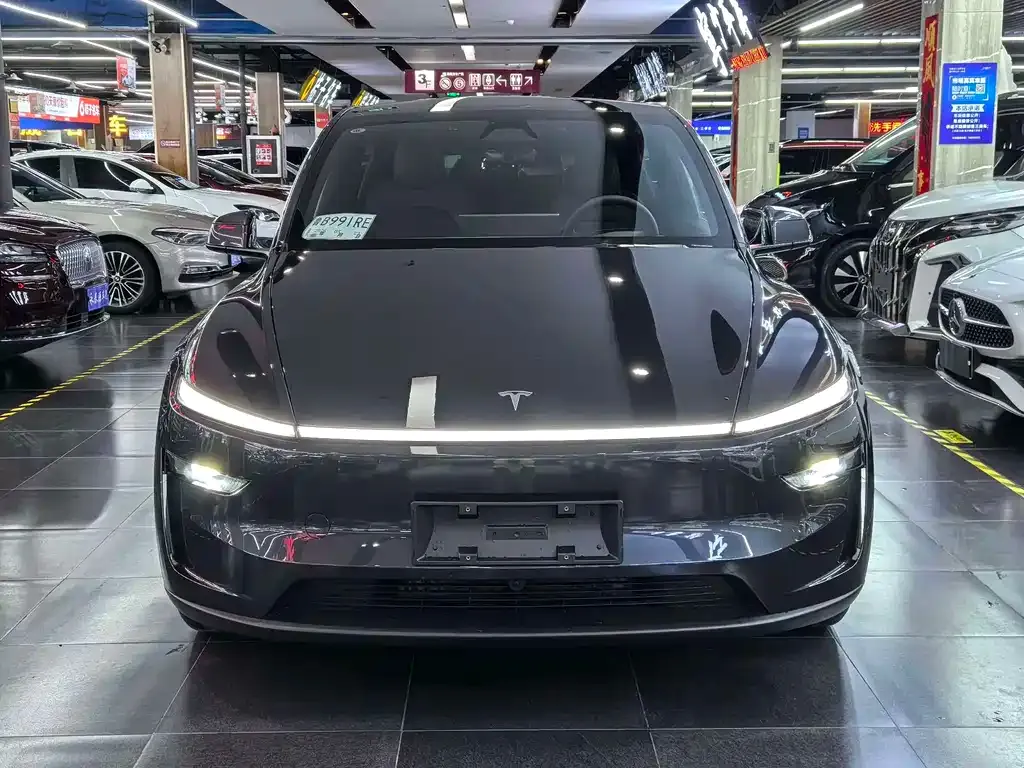 Tesla Model Y — фото 10