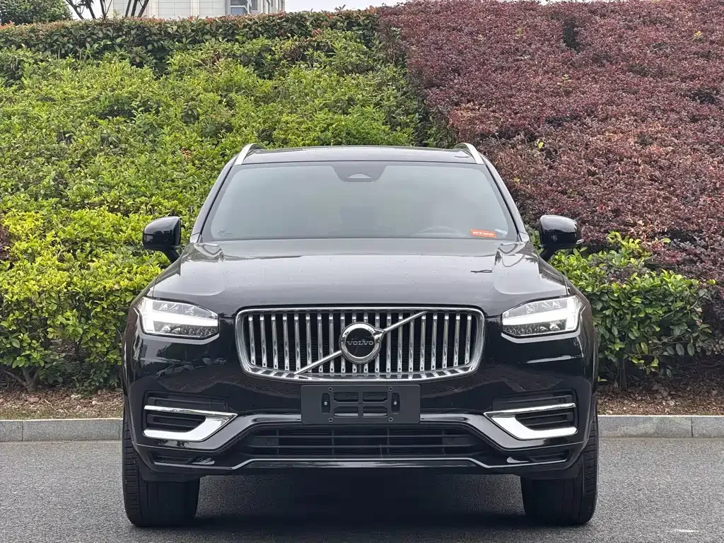 Volvo XC90 — фото 10