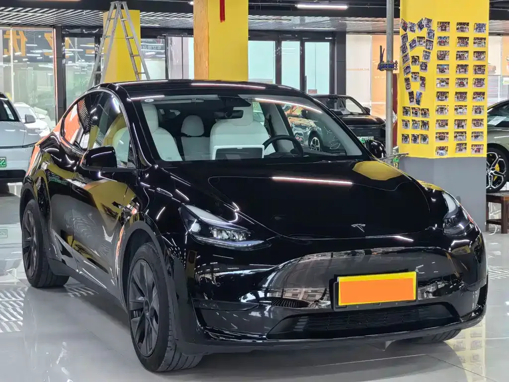 Tesla Model Y — фото 10