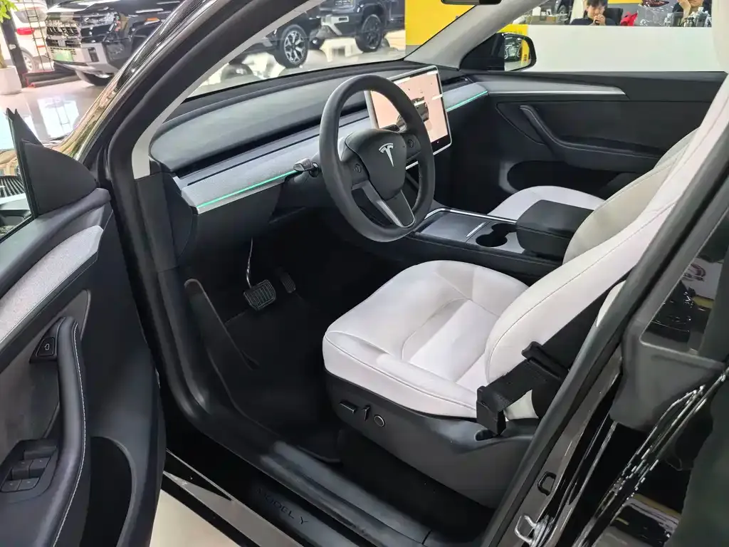 Tesla Model Y — фото 8