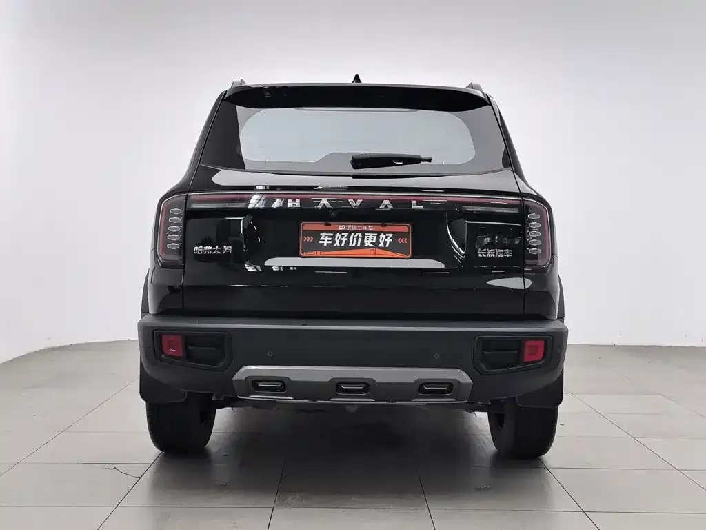 Haval Big Dog — фото 4