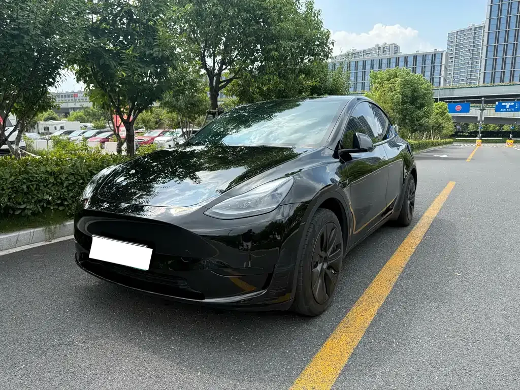 Tesla Model Y — фото 1