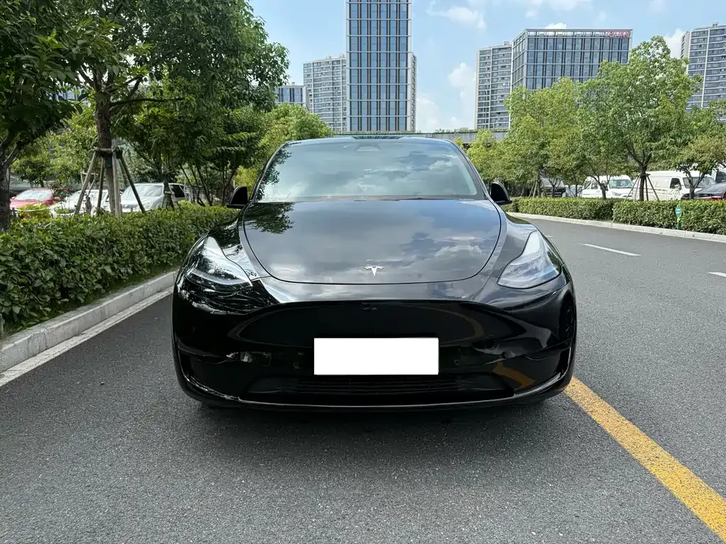 Tesla Model Y — фото 8