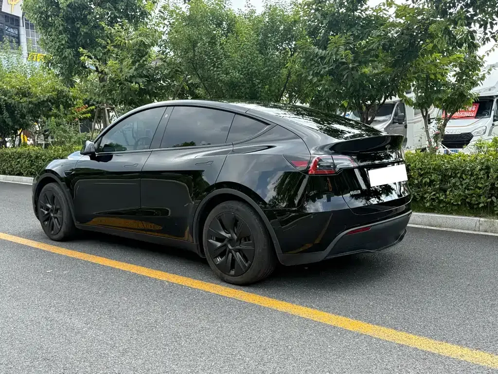 Tesla Model Y — фото 10