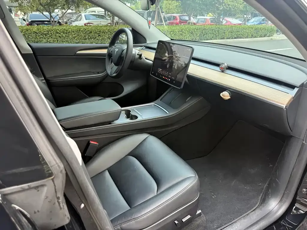 Tesla Model Y — фото 2