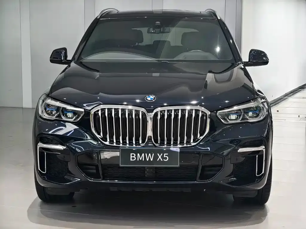 BMW X5 — фото 7